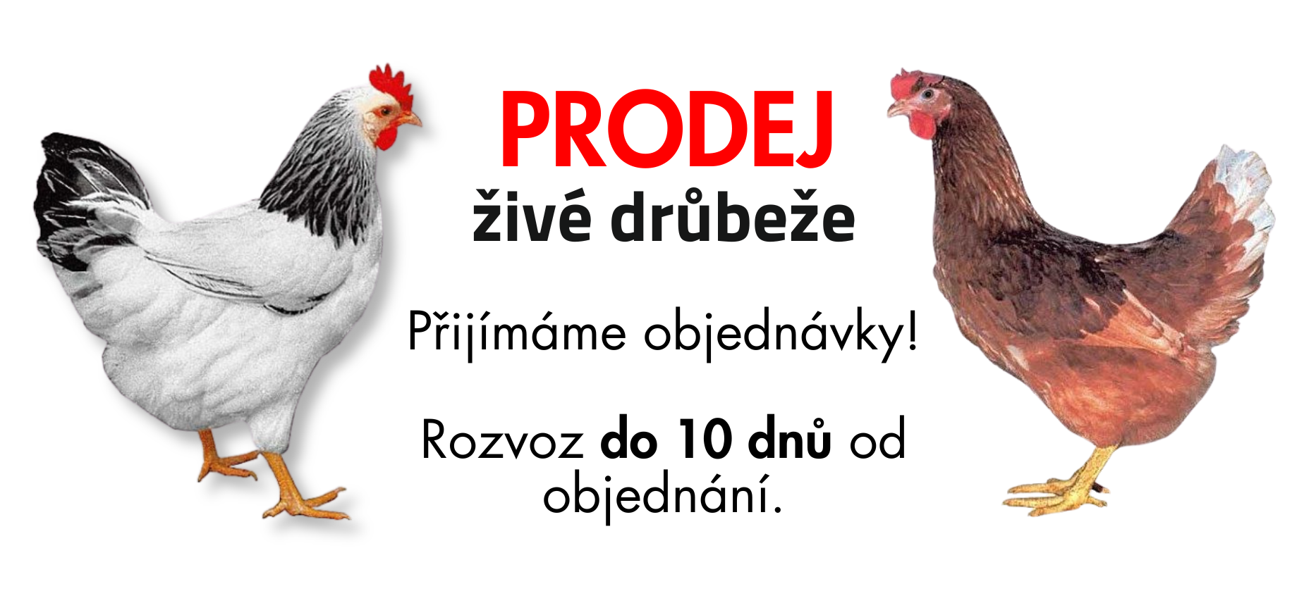 ZOODUM - 10 dnů (1832 x 856 px)_5